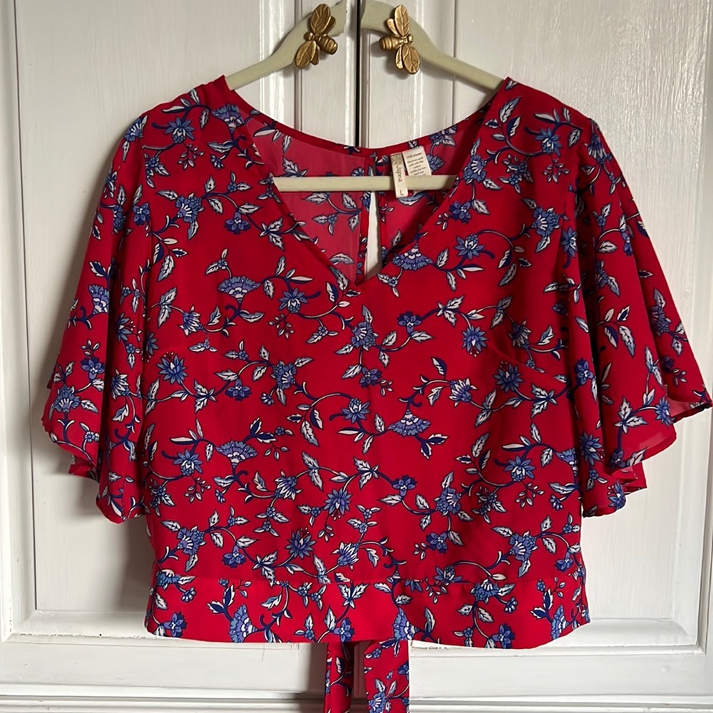Pretty red and royal blue blouse